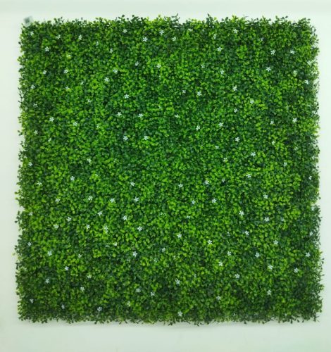 WhatsApp Image 2025-05-14 at 12.56.49_fdab6430