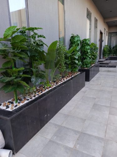 WhatsApp Image 2025-05-14 at 12.56.52_8e620513