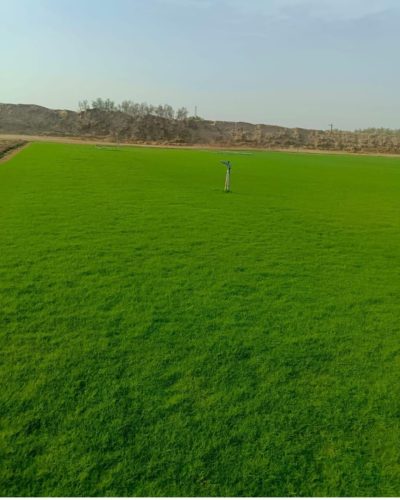 WhatsApp Image 2025-05-14 at 13.53.26_31d170f2