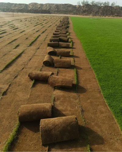 WhatsApp Image 2025-05-14 at 13.53.26_8c06f318