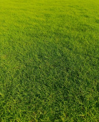 WhatsApp Image 2025-05-14 at 13.53.27_5a9eb067