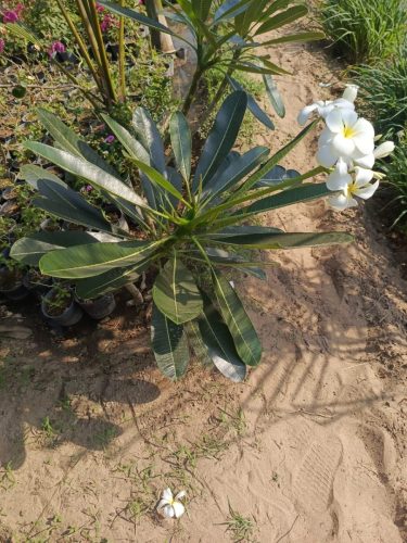 WhatsApp Image 2025-05-15 at 16.57.52_394ba456