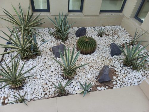 WhatsApp Image 2025-05-15 at 16.58.35_75943902