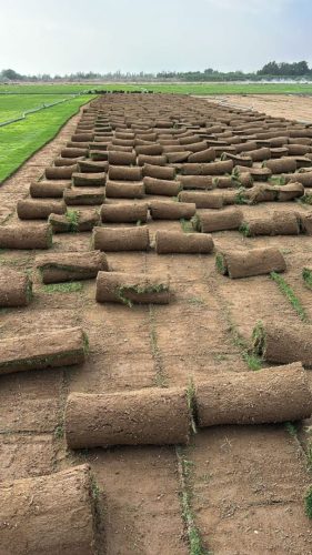 WhatsApp Image 2025-05-15 at 16.58.35_af30e3dc