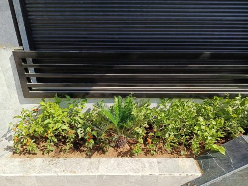 WhatsApp Image 2025-05-15 at 16.58.36_a84ac773