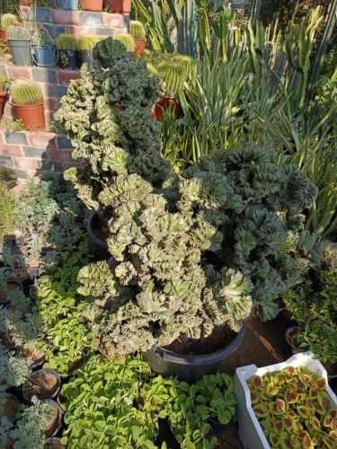 WhatsApp Image 2025-05-15 at 16.58.37_a86fed8c