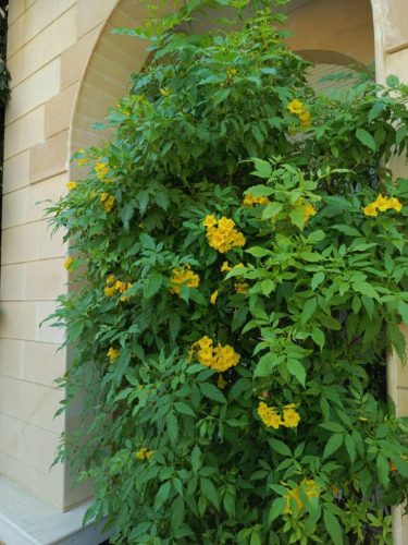 WhatsApp Image 2025-05-15 at 16.58.38_62de3bdc