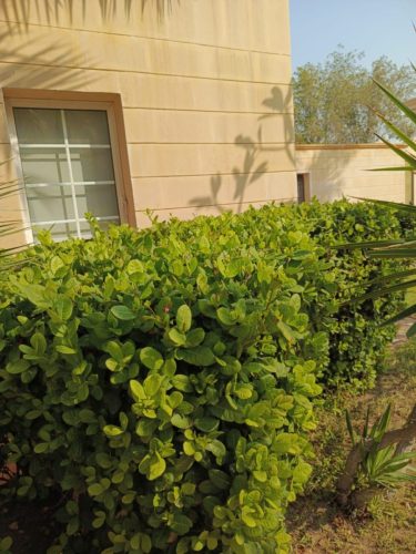 WhatsApp Image 2025-05-15 at 16.58.38_f1e3f543