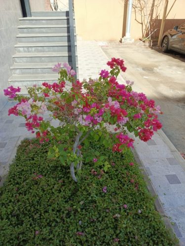 WhatsApp Image 2025-05-15 at 16.58.39_a7c42e6e