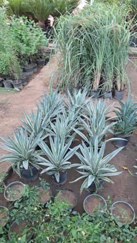 WhatsApp Image 2025-05-15 at 16.58.40_492ed8e9