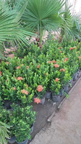 WhatsApp Image 2025-05-15 at 16.58.40_fd1082ee