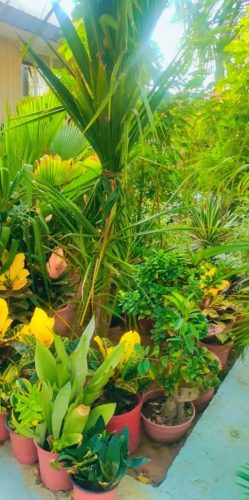 WhatsApp Image 2025-05-15 at 16.58.41_169dd745