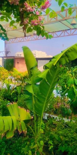 WhatsApp Image 2025-05-15 at 16.58.41_1d8d8f22