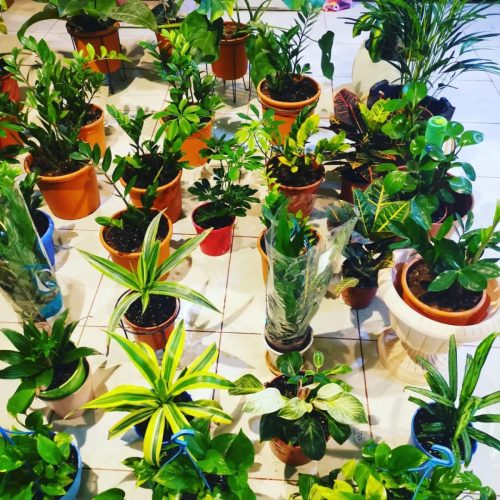 WhatsApp Image 2025-05-15 at 16.58.41_9d05f2f7