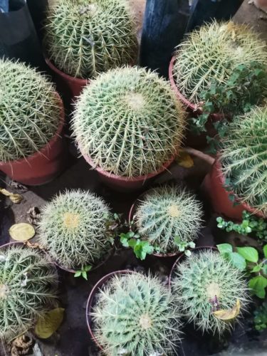 WhatsApp Image 2025-05-15 at 16.58.43_b45af311