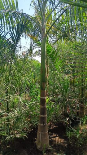 WhatsApp Image 2025-05-15 at 16.58.44_36d8144e