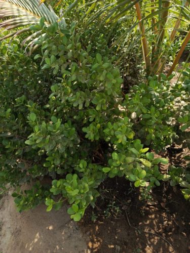 WhatsApp Image 2025-05-15 at 16.58.44_7fe50f5b