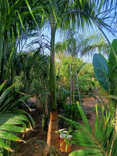 WhatsApp Image 2025-05-15 at 16.58.44_f7b6c59a