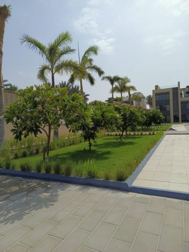 WhatsApp Image 2025-05-15 at 16.58.45_a67c918a