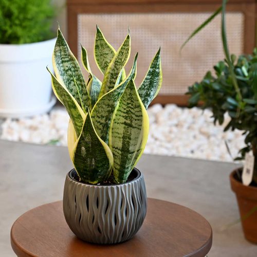 WhatsApp Image 2025-05-15 at 16.58.46_61edbfdc